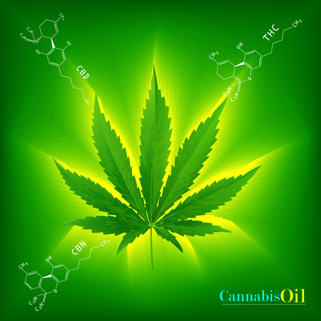 Marijuana concept and cannabis and legislation social issue as medical and recreational weed usage on green background symbols in a 3D illustration style.のイラスト素材