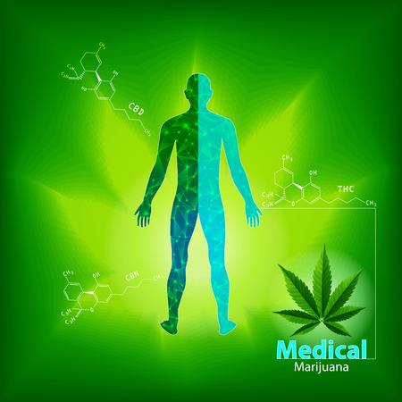 Marijuana concept and paragon body and legislation social issue as medical and recreational weed usage on white background symbols in a 3D illustration style.のイラスト素材
