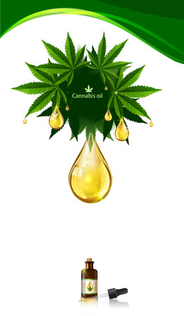 Marijuana concept and paragon body and legislation social issue as medical and recreational weed usage on white background symbols in a 3D illustration style.のイラスト素材