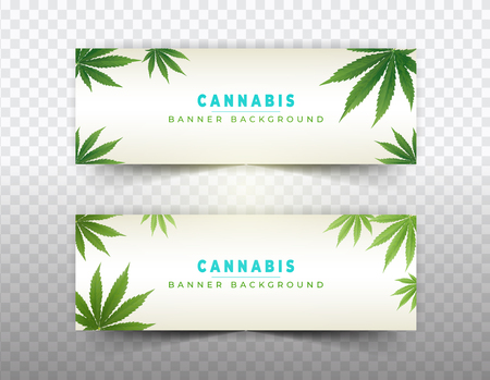 Banner plant concept, cannabis and legislation social issue as medical and recreational weed usage on green background symbols in a 3D illustration style.のイラスト素材