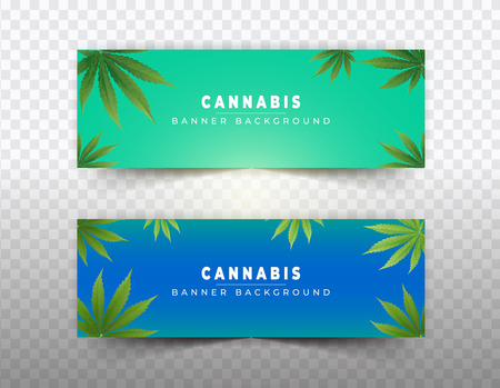 Banner plant concept, cannabis oil and legislation social issue as medical and recreational weed usage on green background symbols in a 3D illustration style.のイラスト素材