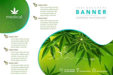 Marijuana leaves or for the production of medical marijuana oil, brochure designs, vector imagesのイラスト素材
