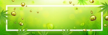 Marijuana leaves or for the production of medical marijuana oil, banner designs, vector images.のイラスト素材
