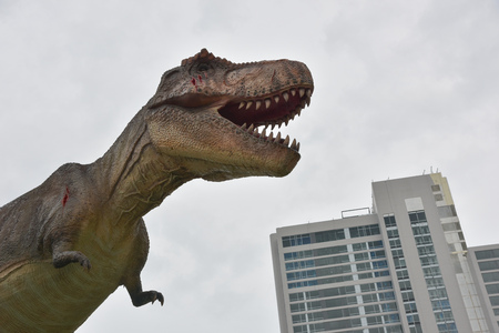 model of tyrannosaurus in the cityの写真素材