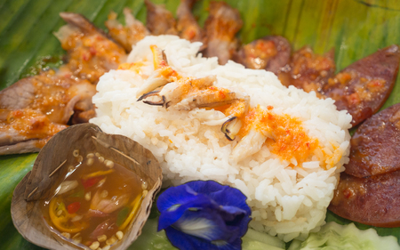Crab and Barbecued red pork in sauce with rice (focus crab)の写真素材