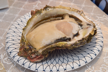 fresh oysterの写真素材