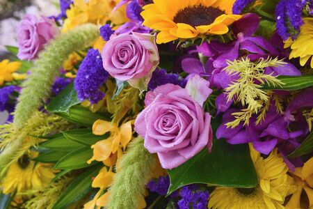 flowerの写真素材
