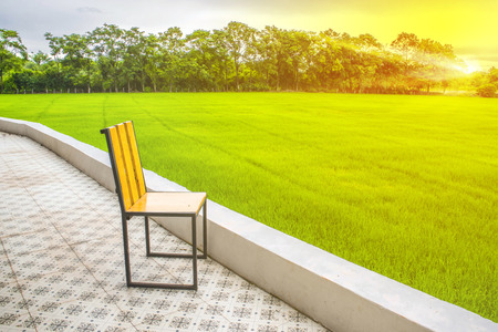 Chair in the field. Landscapes, green.の写真素材