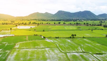 Rice fields and mountains, view from a high angle Saw vast rice fields In the morning the sun began to shine.の写真素材