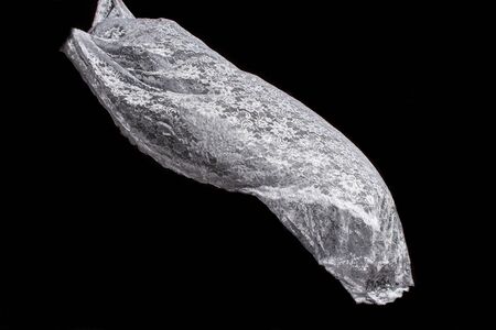 Lace Textures of wedding veils