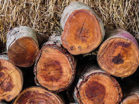 The log is stacked next to the straw stack on the farm.の写真素材
