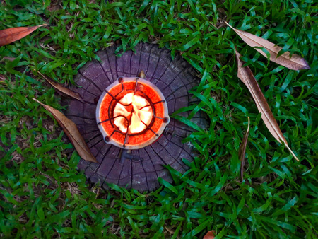 Old camping stove Was left on a green lawn.