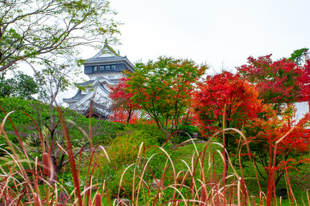 Japanese style garden, the background is Kokura Castle was built by Hosokawa Tadaoki in 1602,Historical building.Kokura Castle is a Japanese castle in Kitakyushu, Fukuoka Prefecture, Japan.のeditorial素材