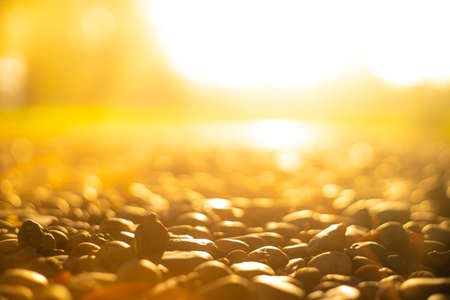 Blurred images of Yellow bokeh images Of the morning sun Shine through the Stone texture photos,stone floor in the gardenの写真素材