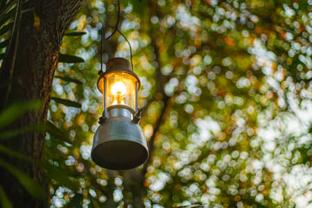 antique oil lamp hanging on a tree in the forest in the evening camping atmosphere.Travel Outdoor...