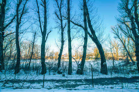 walkway in Austria with snow in winter. The pine trees were covered with snow in the freezing cold....