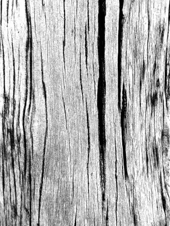 abstract of wood texture for background used. Black and white.の写真素材