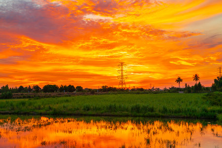 high voltage pole orange sunrise background in the rural fields of Thailandの写真素材