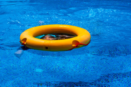 Top view of lifebuoy floating in blue swimming pool, soft focus.の写真素材