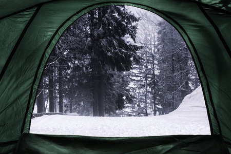camping tent, looking from inside the tent to view The mountain pine forest is heavily snow-covered.の写真素材