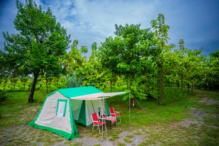 Camping tents, vintage cabin tents,  Antique lanterns, retro chairs, and outdoor coffee-making facilities on wooden tables in a forestの写真素材