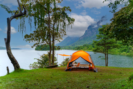 Summer camping adventure in the forest with a tent among green trees and grassの写真素材