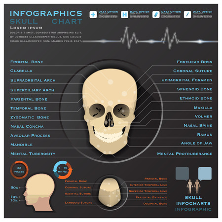 Skull Human Head Medical Infographic Infochart Design Templateのイラスト素材