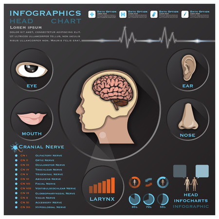 Head And Otolaryngology System Medical Infographic Infochart Design Templateのイラスト素材