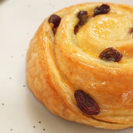 Cinnamon roll with raisinの素材