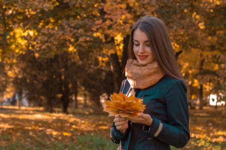 cute young girl stands in the Park and looking at the leaves in the hands ofの写真素材