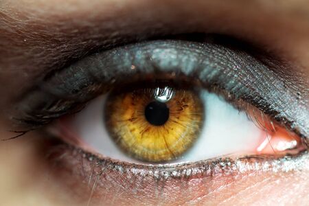 macro of brown female eye in studioの写真素材