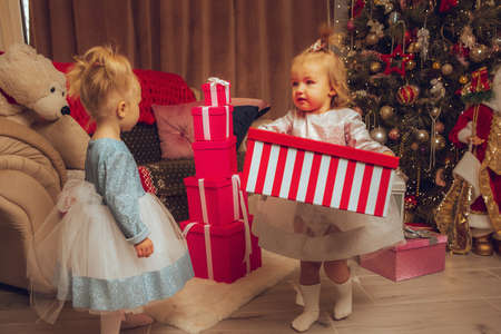 two little baby girls with a christmas tree from behind at homeの写真素材