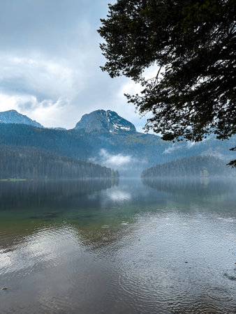 view of blue Lake with the reflection of needle leaf trees and mountains at montenegroの写真素材