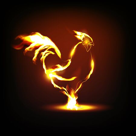 Vector illustration of the red rooster. Fiery rooster - symbol of the Chinese New Year.のイラスト素材