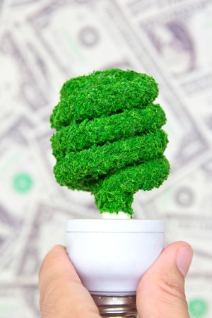 hand holding eco light bulb on dollars background ,save money conceptの写真素材
