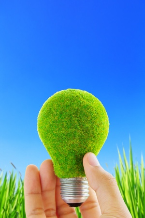  eco light bulb の写真素材