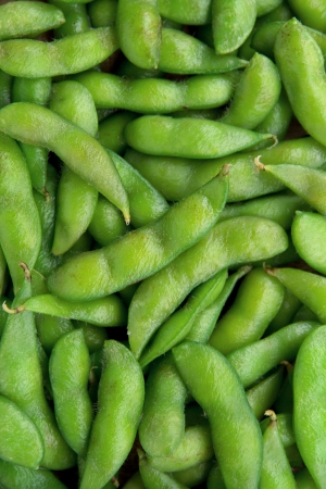 Edamame soy beans backgroundの写真素材