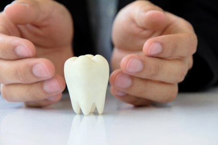 Hand holding molar,dental conceptの写真素材