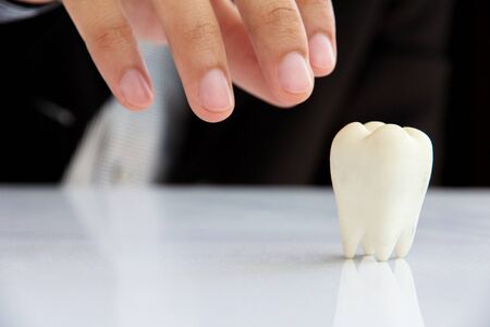 Hand holding molar,dental conceptの写真素材