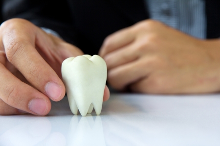 Hand holding molar,dental conceptの写真素材