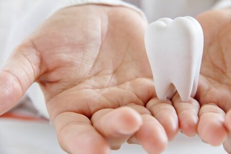hand holding molar ,dental conceptの写真素材