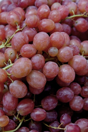 fresh red grapesの写真素材