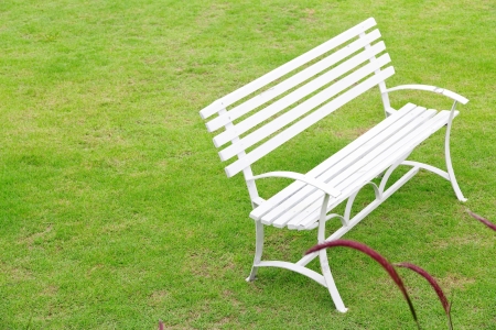 bench in the parkの写真素材