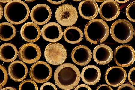 stack of bamboo cutsの写真素材