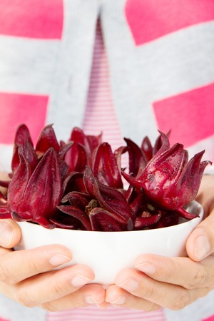 hand holding roselle flowerの写真素材