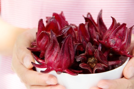 hand holding roselle flowerの写真素材