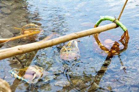 Egg boiled at thapai-hotspring Mae Hong Son Province,Thailand.の写真素材