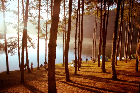 Pang Tong Under Royal Forest Park ( Pang ung ) at Mae Hong Son Province,Thailand.  Pang Ung is a...