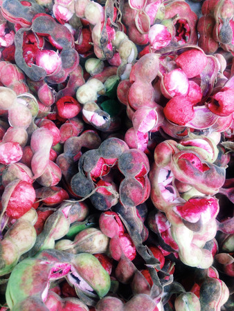 Fresh of manila tamarind backgroundの写真素材