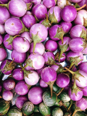 Fresh eggplant Backgroundの写真素材